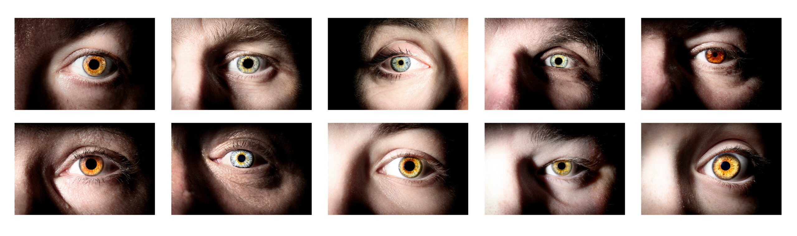 Sechs Fotokacheln sind zu sehen, jeweils 3 nebeneinander auf zwei Zeilen. Die Fotos zeigen Nahaufnahmen vom menschlichen Auge - sogenannte Irisfotografien.